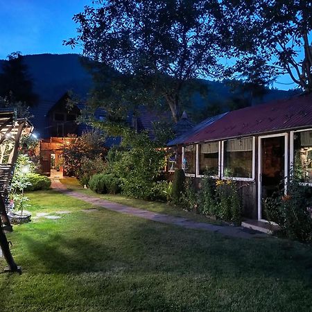 Casa De Vacanta Vidrighin Rau Sadului 외부 사진