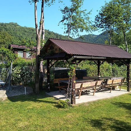Casa De Vacanta Vidrighin Rau Sadului 외부 사진