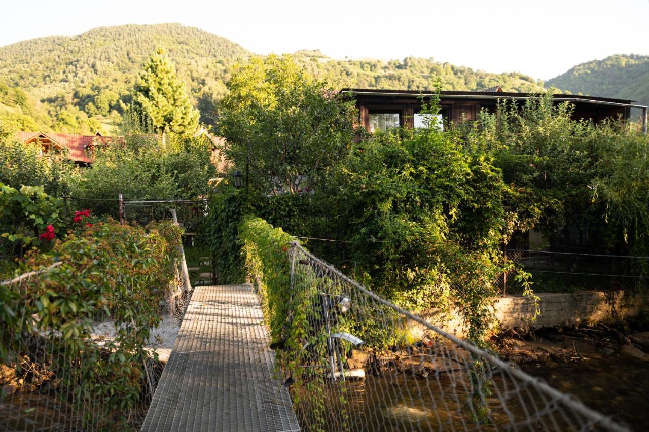Casa De Vacanta Vidrighin Rau Sadului 외부 사진