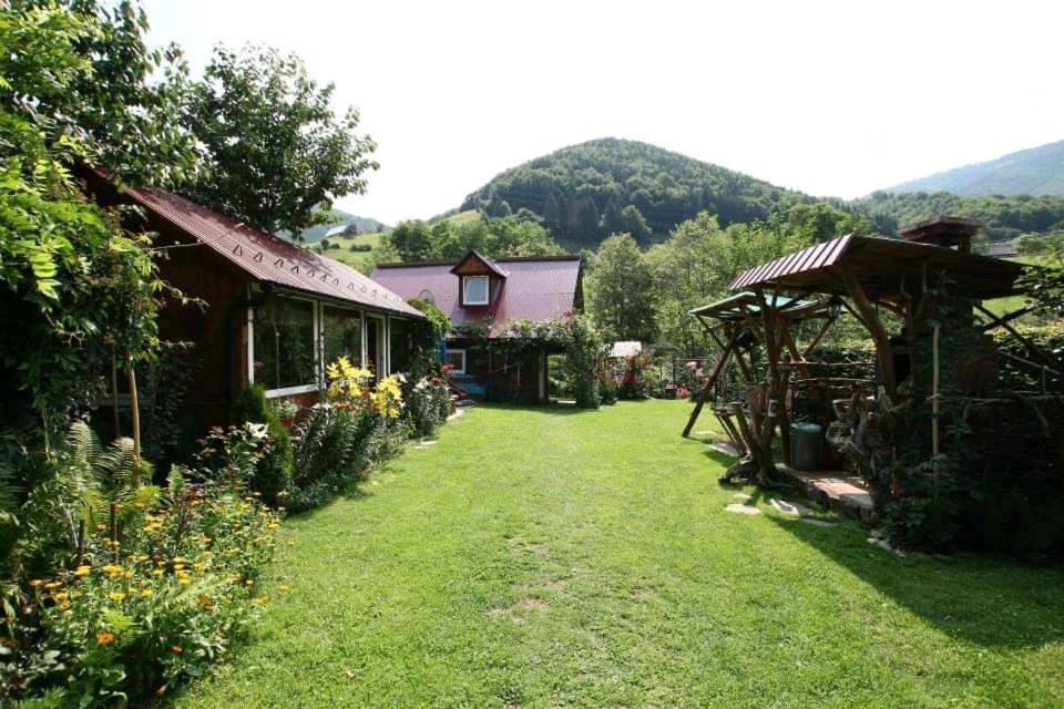 Casa De Vacanta Vidrighin Rau Sadului 외부 사진
