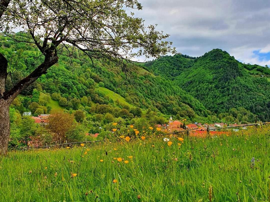Casa De Vacanta Vidrighin Rau Sadului 외부 사진