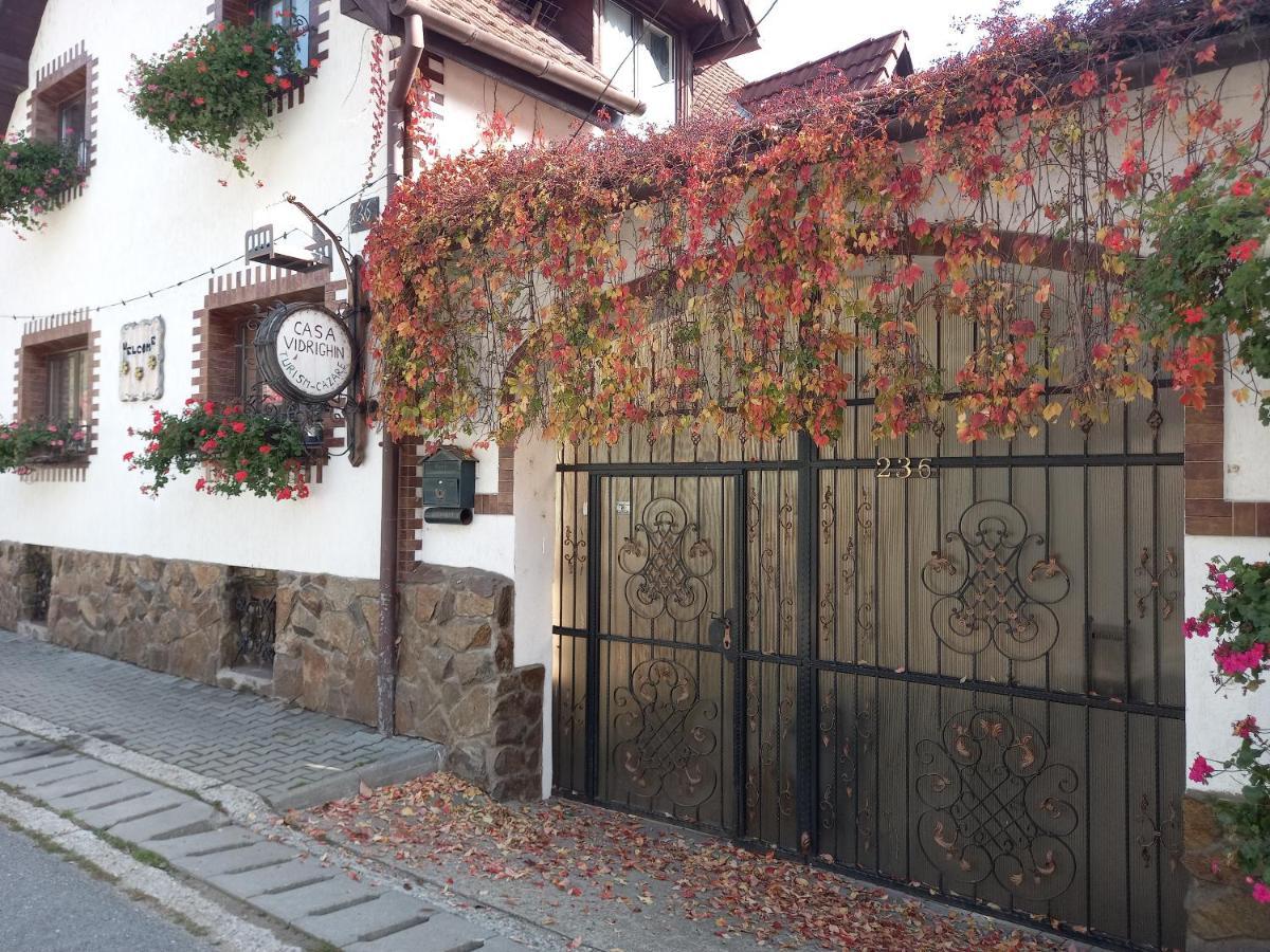 Casa De Vacanta Vidrighin Rau Sadului 외부 사진