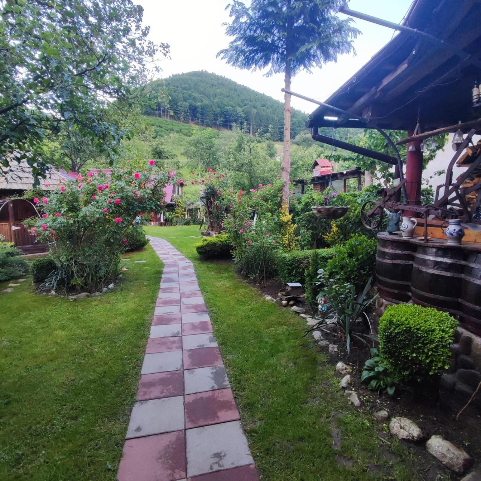 Casa De Vacanta Vidrighin Rau Sadului 객실 사진