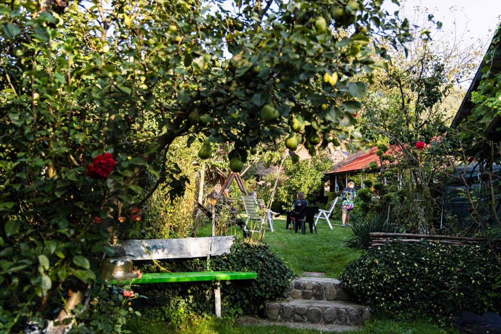 Casa De Vacanta Vidrighin Rau Sadului 객실 사진