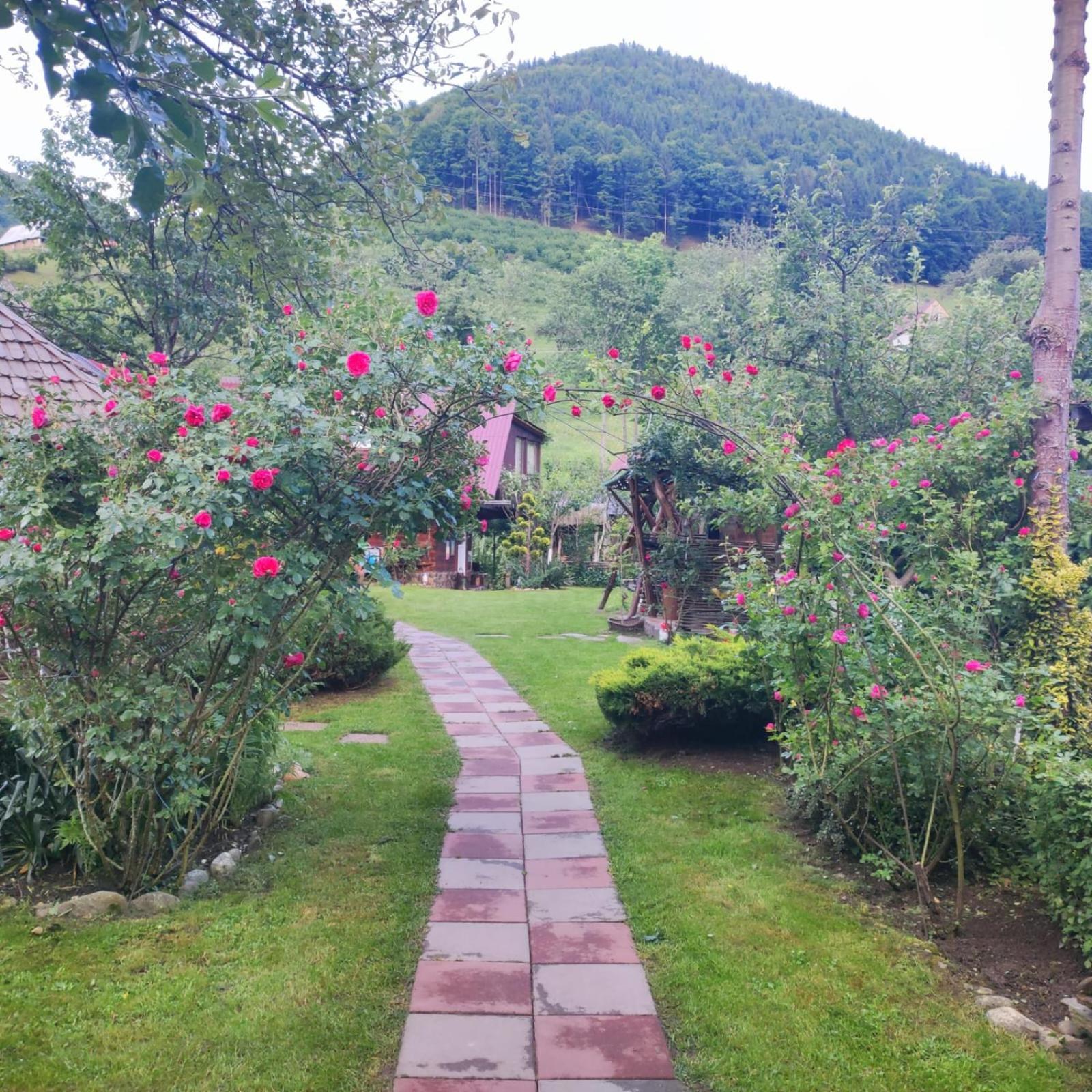 Casa De Vacanta Vidrighin Rau Sadului 객실 사진