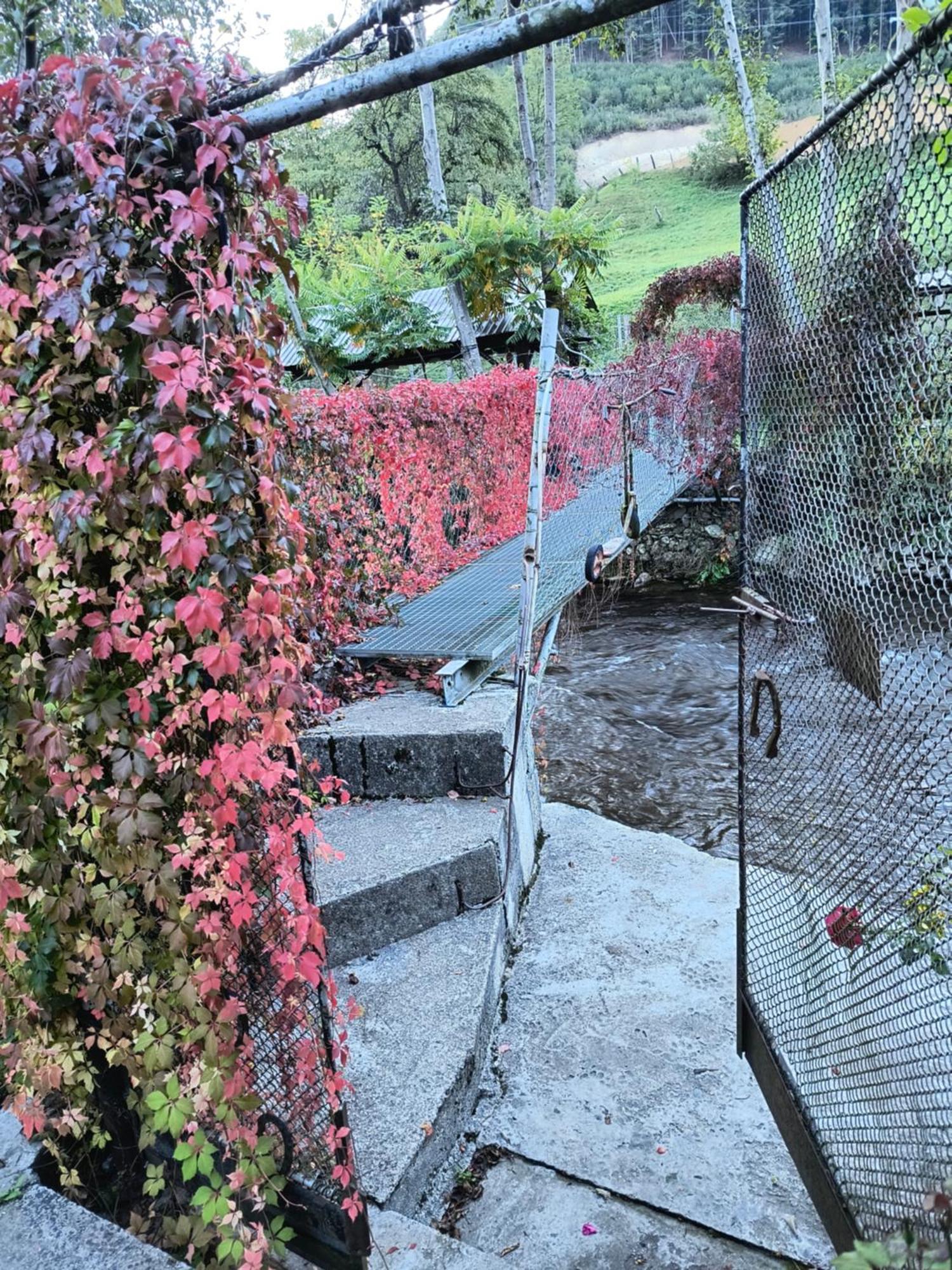 Casa De Vacanta Vidrighin Rau Sadului 객실 사진