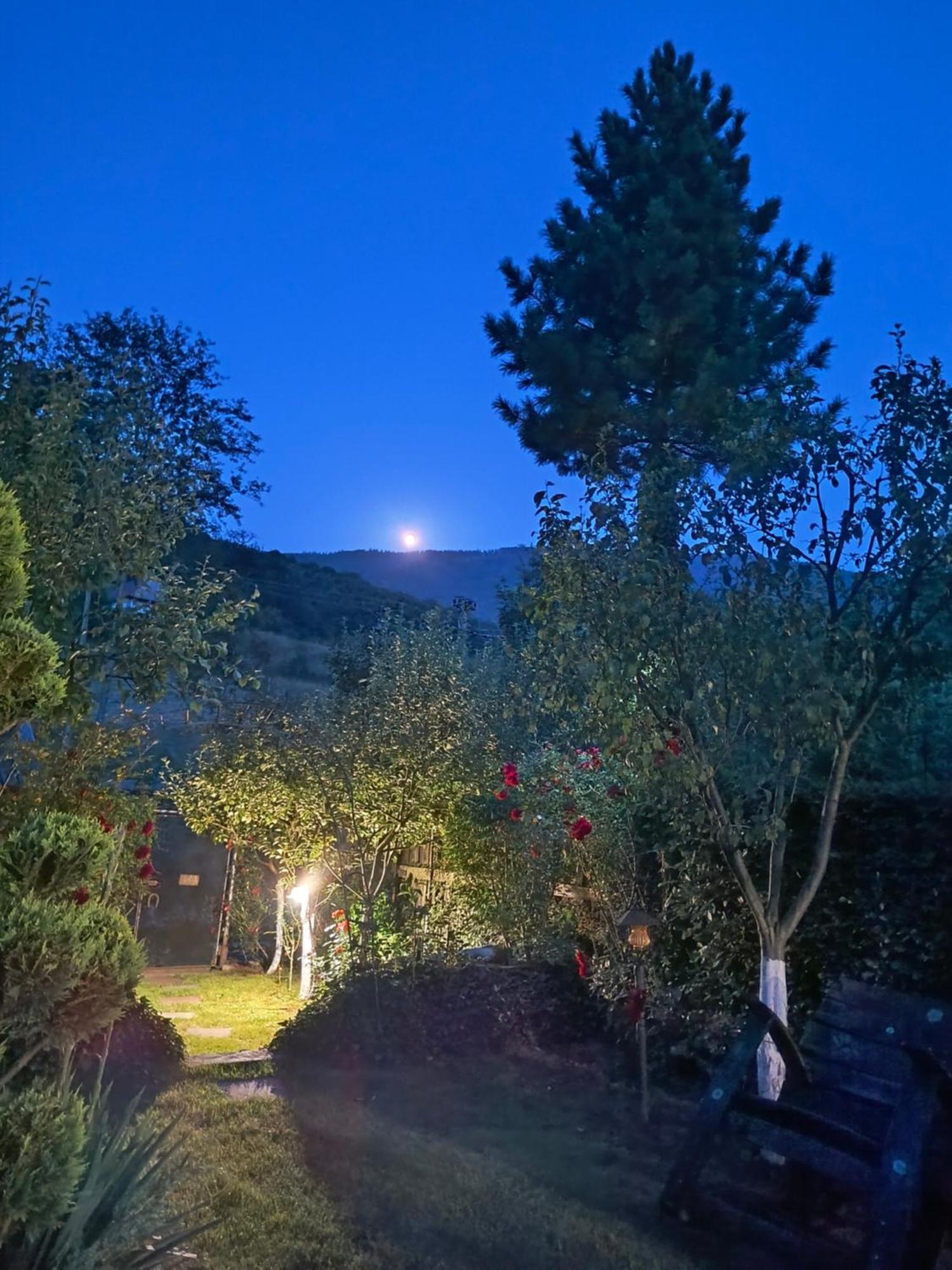 Casa De Vacanta Vidrighin Rau Sadului 외부 사진