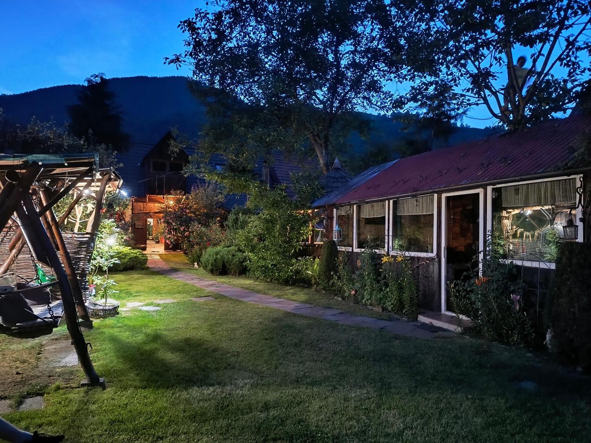 Casa De Vacanta Vidrighin Rau Sadului 외부 사진