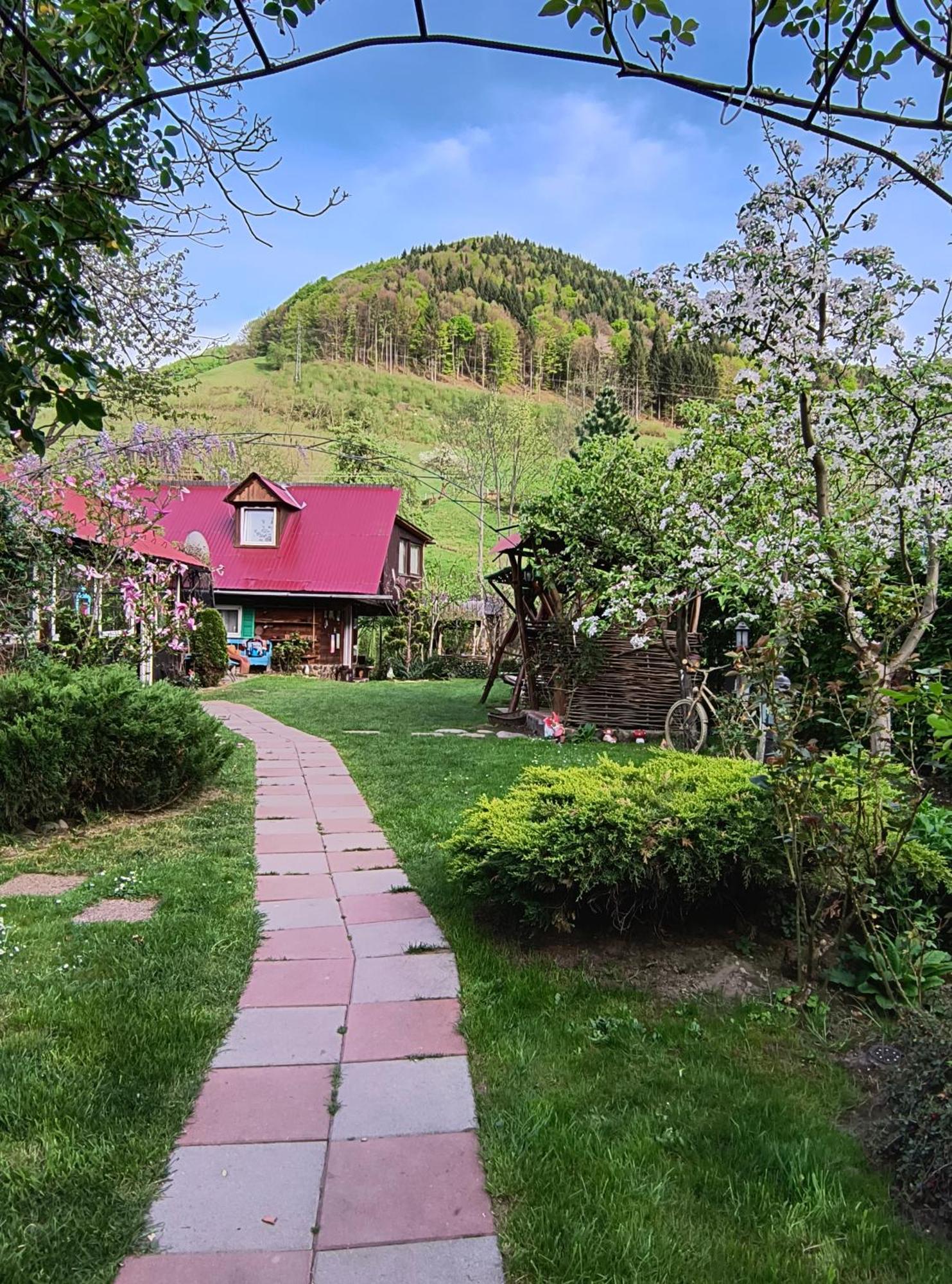 Casa De Vacanta Vidrighin Rau Sadului 외부 사진