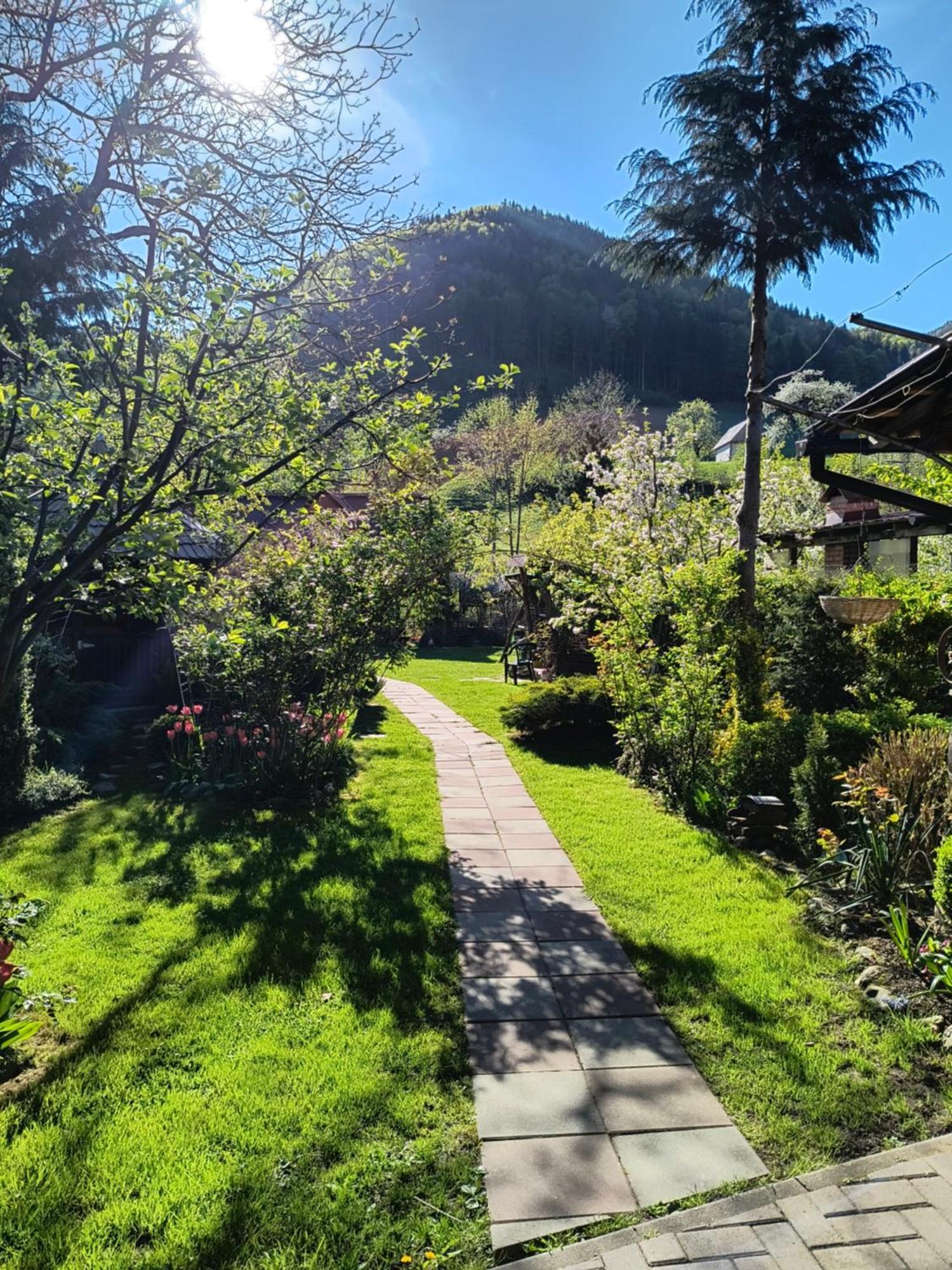 Casa De Vacanta Vidrighin Rau Sadului 외부 사진