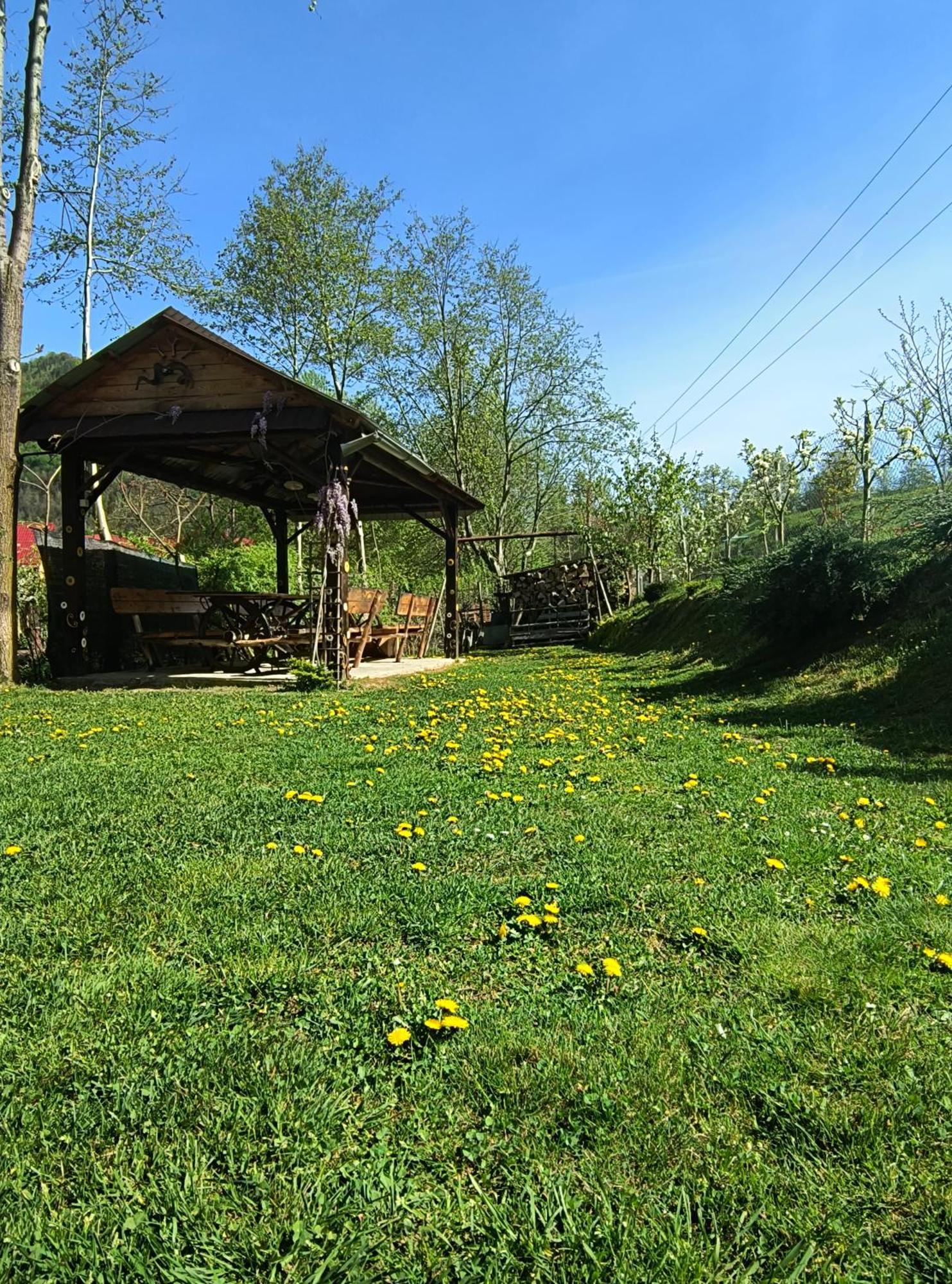 Casa De Vacanta Vidrighin Rau Sadului 외부 사진