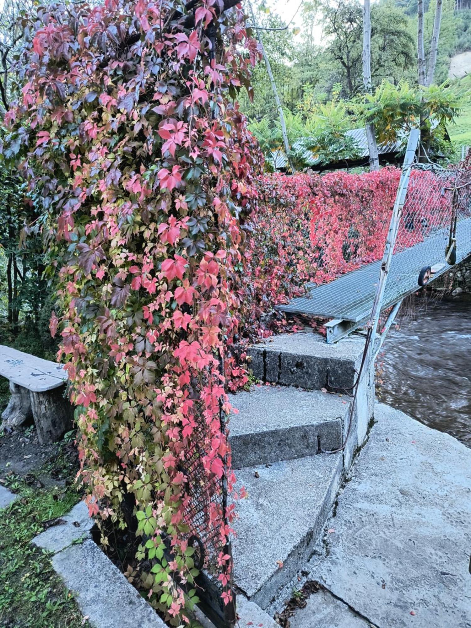 Casa De Vacanta Vidrighin Rau Sadului 외부 사진